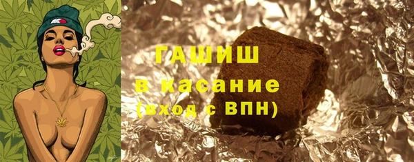 шишки Бородино